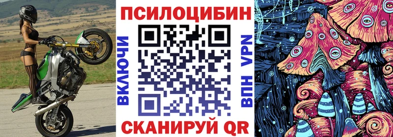 Псилоцибиновые грибы прущие грибы  blacksprut   Змеиногорск 
